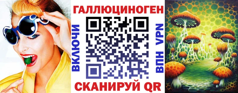 Псилоцибиновые грибы GOLDEN TEACHER магазин Саки