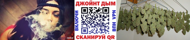 Конопля SATIVA & INDICA  как найти закладки  мега tor  Саки 